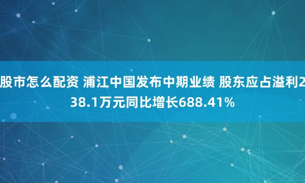 股市怎么配资 浦江中国发布中期业绩 股东应占溢利238.1万元同比增长688.41%