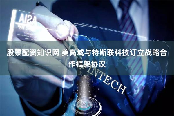 股票配资知识网 美高域与特斯联科技订立战略合作框架协议