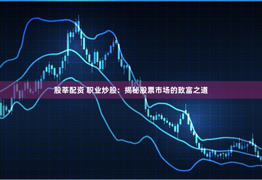 股莘配资 职业炒股：揭秘股票市场的致富之道